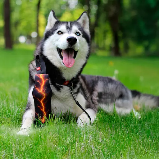 Іграшка для собак Waudog Fun Crush з пластиковою пляшкою та пискавкою Помаранчева блискавка 36.5х8 см - фото 4