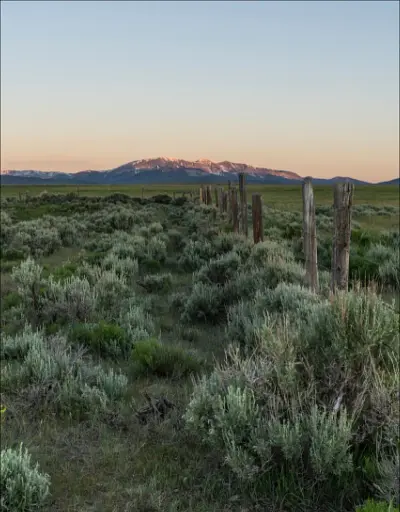 Living Wild. New Beginnings in the Great Outdoors - фото 9