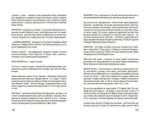 Нічийна троянда - фото 27