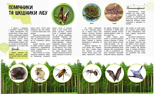 Детская книга "Мир и его тайны: Жизнь леса" 740002 на укр. языке - фото 2