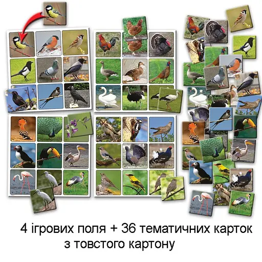 Дитяча настільна гра супер ЛОТО "Птахи" 81930 картки птахів - 36 шт - фото 3