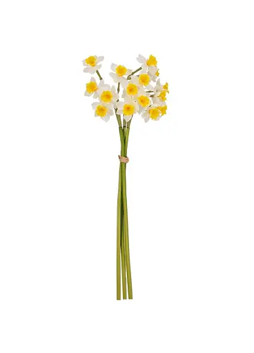 Букет нарцисів "Натхнення", білий, 50 см Elisey