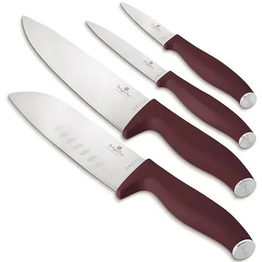 Набор ножей 4 предмета Berlinger Haus Matte Leonardo Collection (BH-2958)