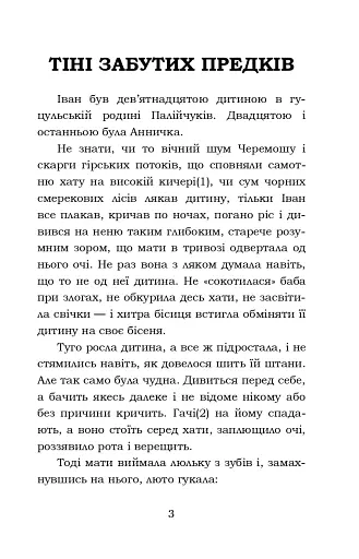 Тіні забутих предків. Intermezzo. Дорогою ціною - фото 3