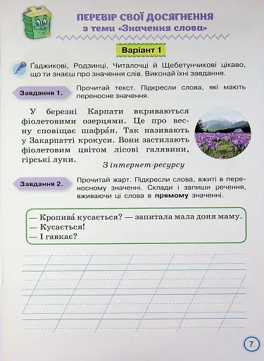 Твої досягнення. Українська мова. 3 клас. Тематичні діагностувальні роботи - фото 9
