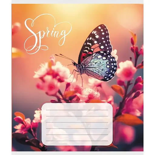 Зошит учнівський "Метелик весною" Leader 018-530216K-1 в клітинку, 18 аркушів - фото 1