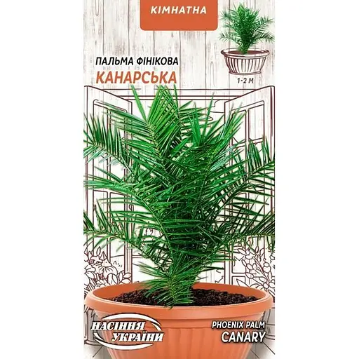 Насіння Пальма фінікова Насіння України Канарська кімнатна 2 шт. (747000)