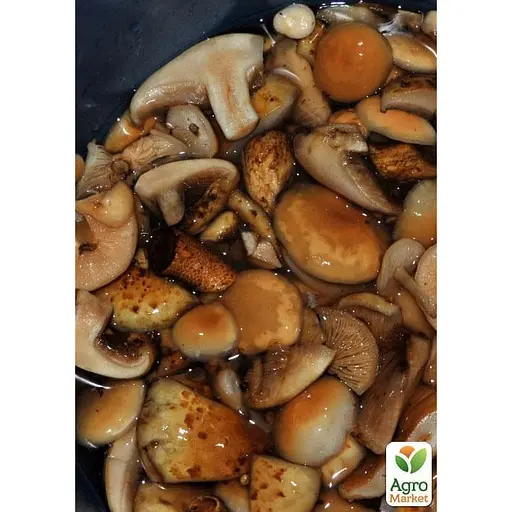 Сухий зерновий міцелій "Маслюк звичайний" 10г (45501) - фото 2