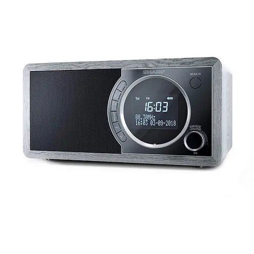 Радиоприёмник Sharp DR-450 Gray - фото 1