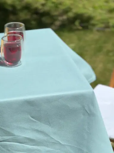 Водовідштовхувальна скатертина Тіффані однотон 340х140 см (+ 7 серветок 30х40) - фото 6