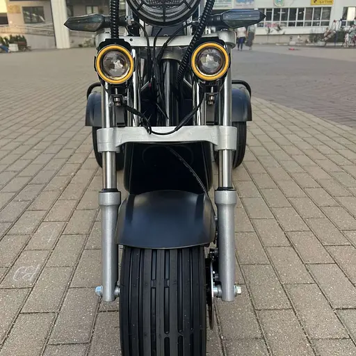 Трехколесный ситикоко EVOBIKE Grizzly X3 Pro с грузкой корзиной - фото 10