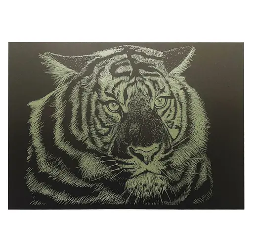Гравюра А4 "Тигр" ГрА4-5з эконом вариант в пакете 29,7х21 см