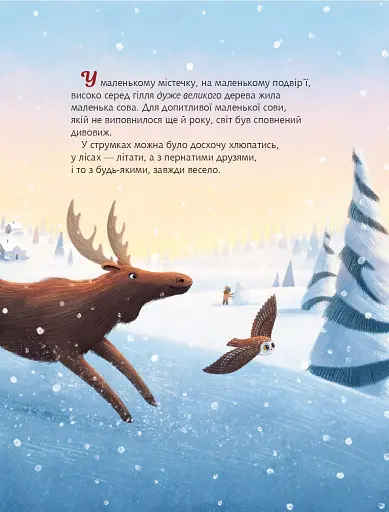 Різдвяна сова. Засновано на реальній історії маленької сови Рокфеллер - фото 3