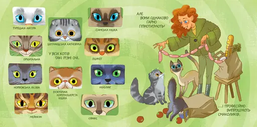 Комплект книг Від вушок до хвостів про котів та собак (2 кн.). Автор - Журба А. (Ранок) - фото 4