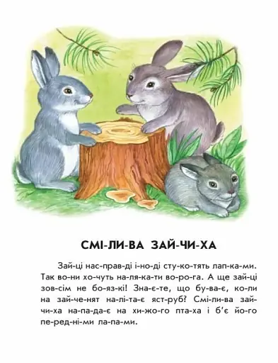 Лісовий концерт. 10 іс-то-рій по скла-дах - фото 4