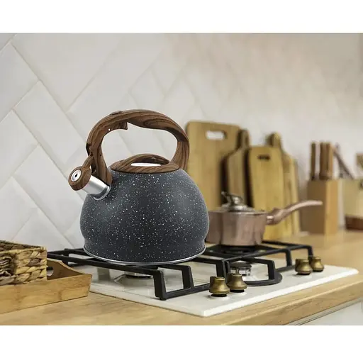 Чайник Gusto GT-1411-30 Пірат зі свистком 3 л (126954) - фото 2