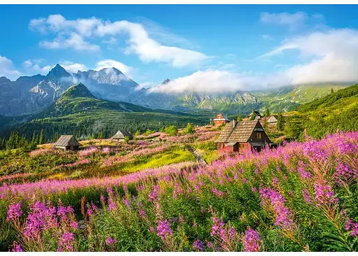 Пазл Castorland Татры Польша 1000 эл. (C-104512) - фото 2