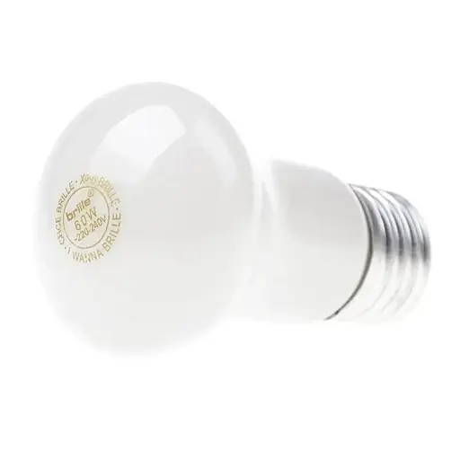 Лампа Brille розжарювання декоративна 60W E27 WW E50, 220 В