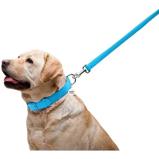 Повідець для собак Waudog Glamour шкіряний, блакитний - фото 5