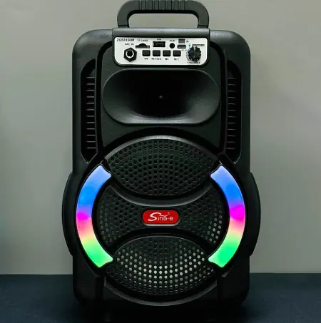 Портативна колонка Sing-e ZQS-8166  з  мікрофонам та пультом Акустична система RGB підсвічування Чорний  200 Вт - фото 6