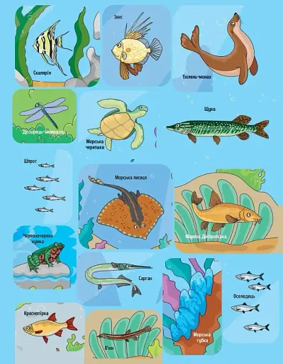 Тваринки під водою - фото 8