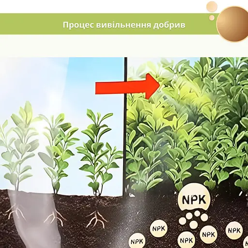 Твердое удобрение COMPO TURBO® мгновенного эффекта для быстрого роста 4 кг - фото 10