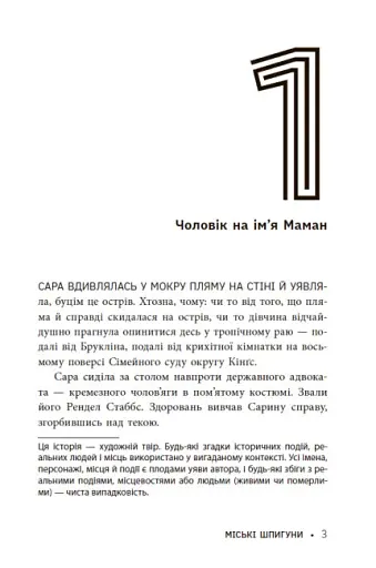 Міські шпигуни. Книга 1 - фото 3