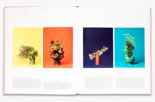 Flora Photographica: The Flower in Contemporary Photography - фото 6