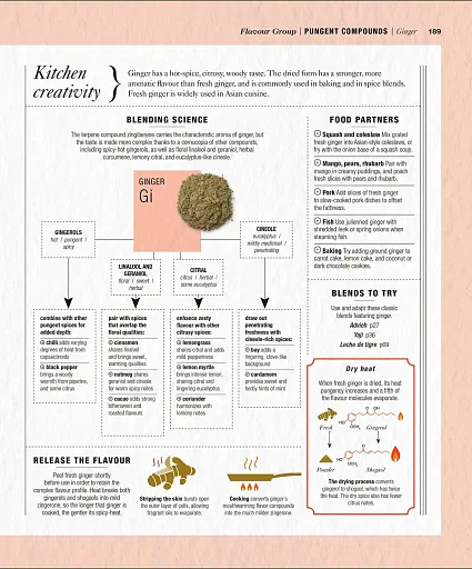 The Science of Spice - фото 12