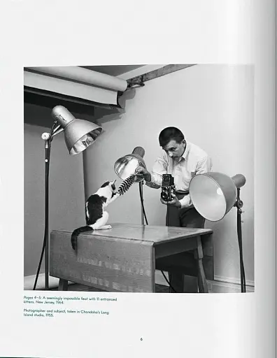 Walter Chandoha. Cats. Photographs 1942-2018 - фото 2