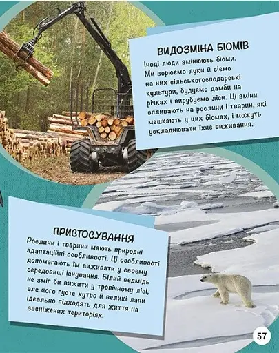 Енциклопедія юних розумників - фото 12