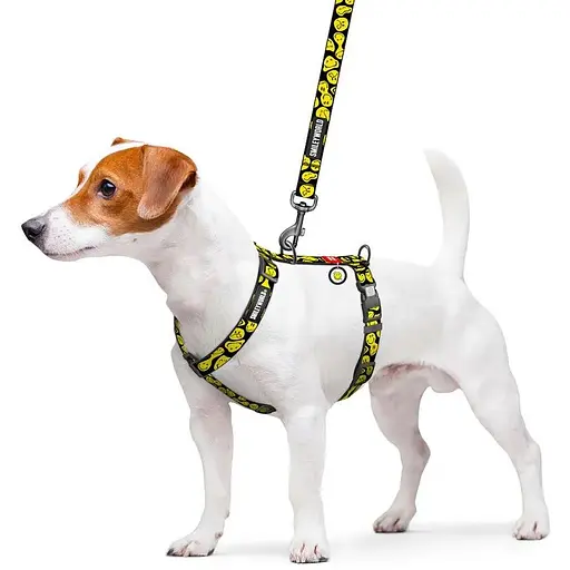 Шлея для собак Waudog Nylon анатомічна H-подібна з QR-паспортом, малюнок "Смайли на чорному", пластиковий фастекс, L - фото 3