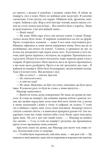 Aurora Borealis - фото 24