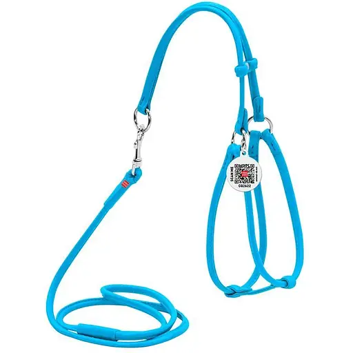 Шлея з повідцем для собак Waudog Glamour шкіряна з QR паспортом, кругла, блакитний