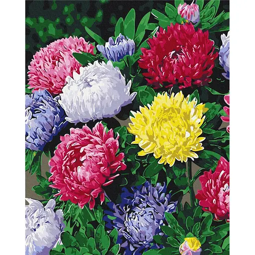 Картина по номерам "Разноцветные астры" Brushme BS54120, 40х50 см - фото 1