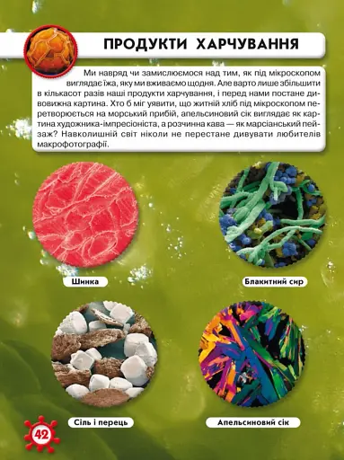Світ навколо нас. Мікросвіт - фото 2