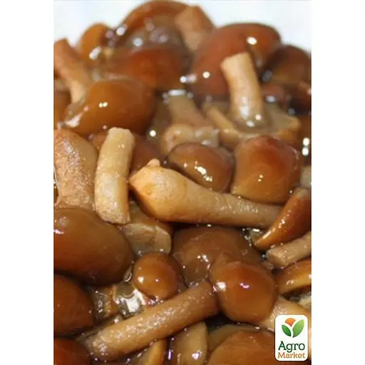 Сухий зерновий міцелій "Опеньок луговий" 10г (45500) - фото 2