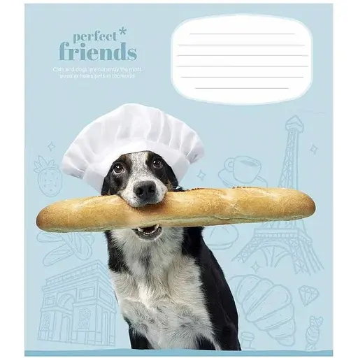 Зошит учнівський "Perfect friends" Школярик 012-3250K 12 аркушів (482000647043203250)(SC) - фото 1