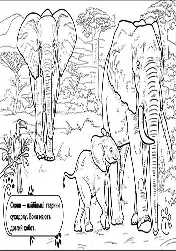 Тварини. У далеких країнах - фото 2