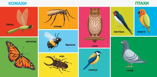 Смарт-книги. 100 перших слів - фото 3