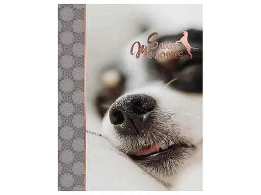 Альбом UFO PP-46200 Enjoy 10x15x200см (PP-46200 Enjoy) - фото 2