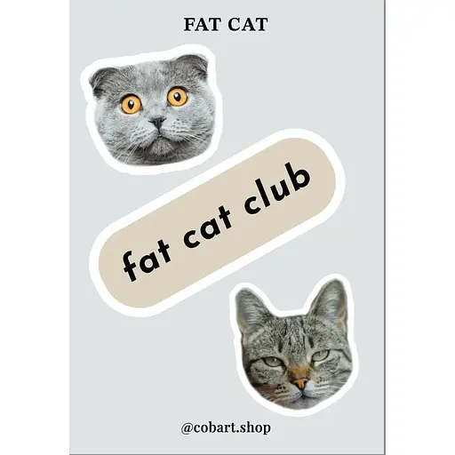 Стикерпак Cobart 3Д "Cat Fat"