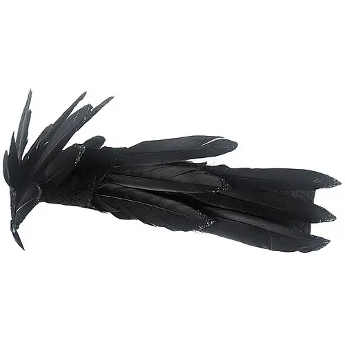 Тіара Фенікс - фото 2