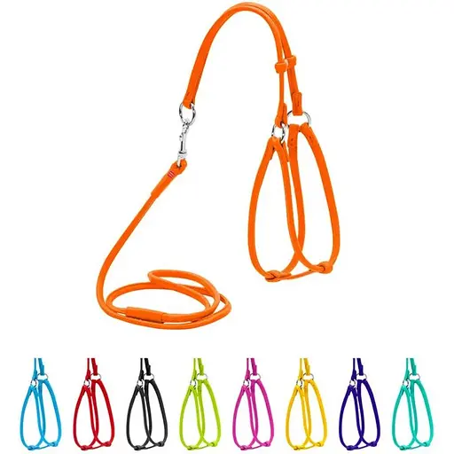 Шлея з повідцем для собак Waudog Glamour шкіряна з QR паспортом, кругла, помаранчевий - фото 3