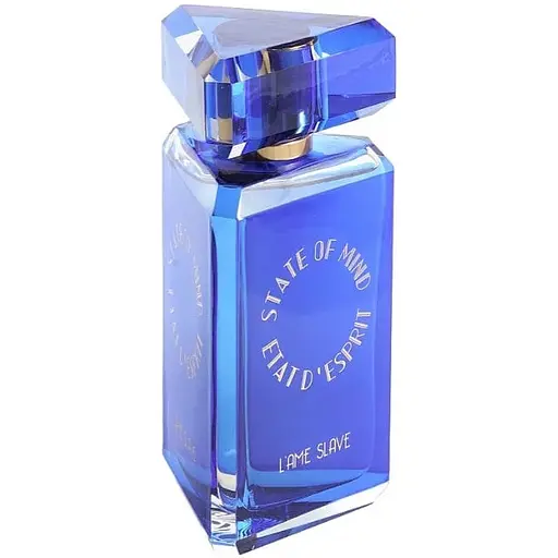 Парфюмированная вода оригинал тестер State Of Mind L’Ame Slave 100 мл - фото 1