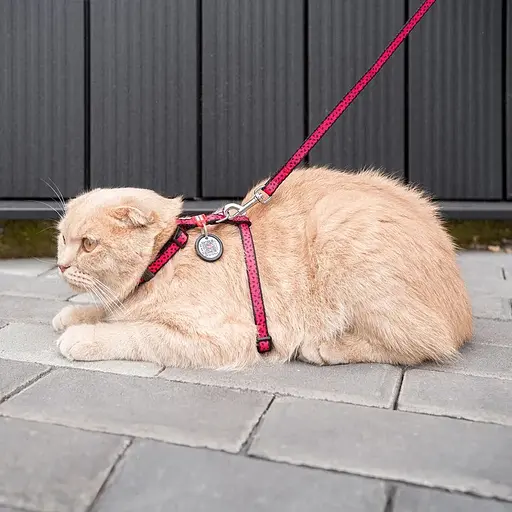 Шлея з повідцем Waudog Nylon з QR паспортом, малюнок "Кавун", пластиковий фастекс - фото 2