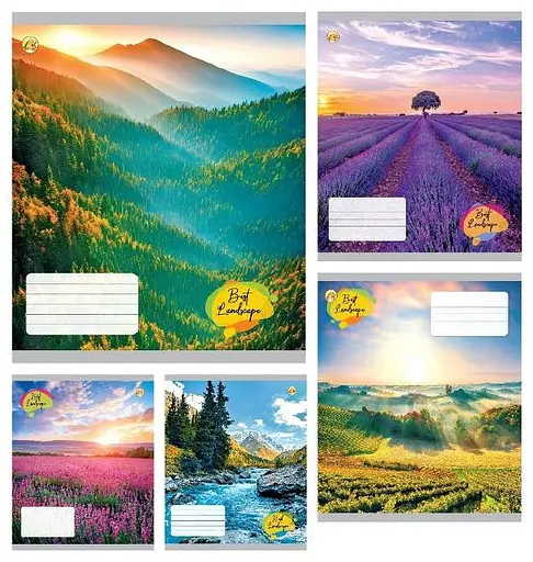 Зошити учнівські 24 аркуша клітинка Тверда ТЕ41303 Краєвиди, 20 шт. в упаковці