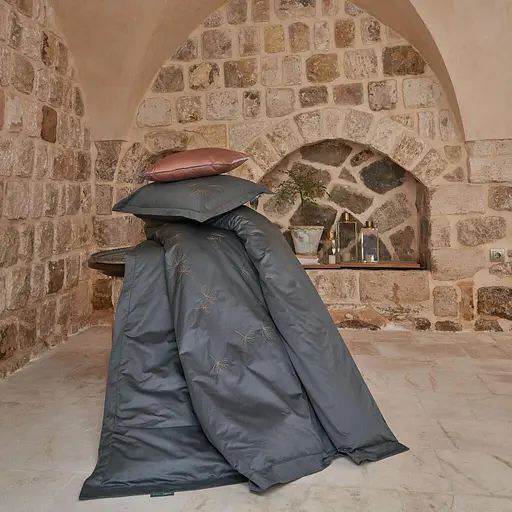 Постільна білизна Sarev Евро pbe0050123 - фото 2