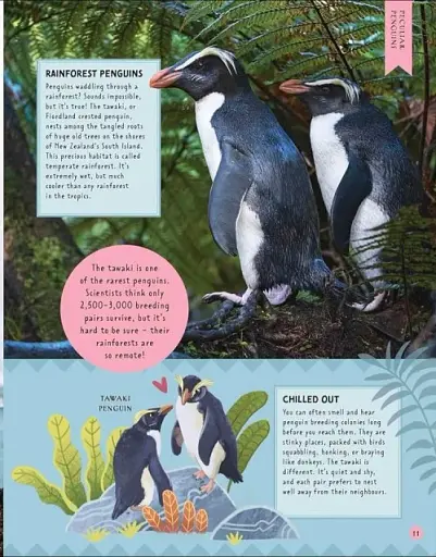 Odd Animals Out - фото 3