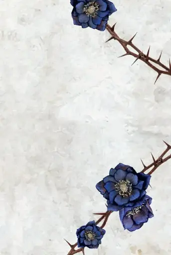 Сага сестер-відьом. Сестра зірок - фото 5